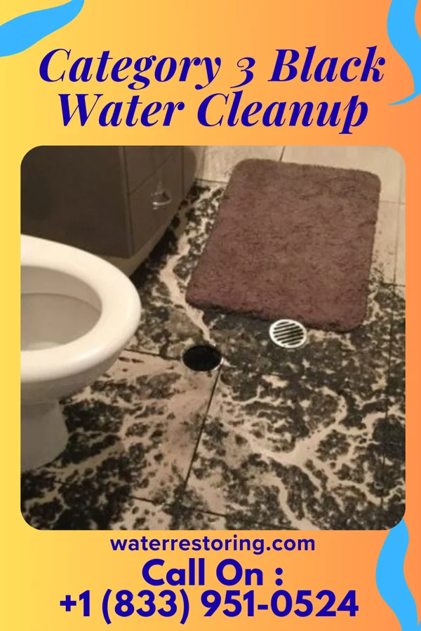 Category 3 Black Water Cleanup in Burgettstown, PA