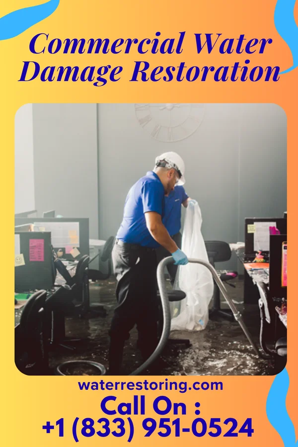 Commercial Water Damage Restoration in Burgettstown, PA