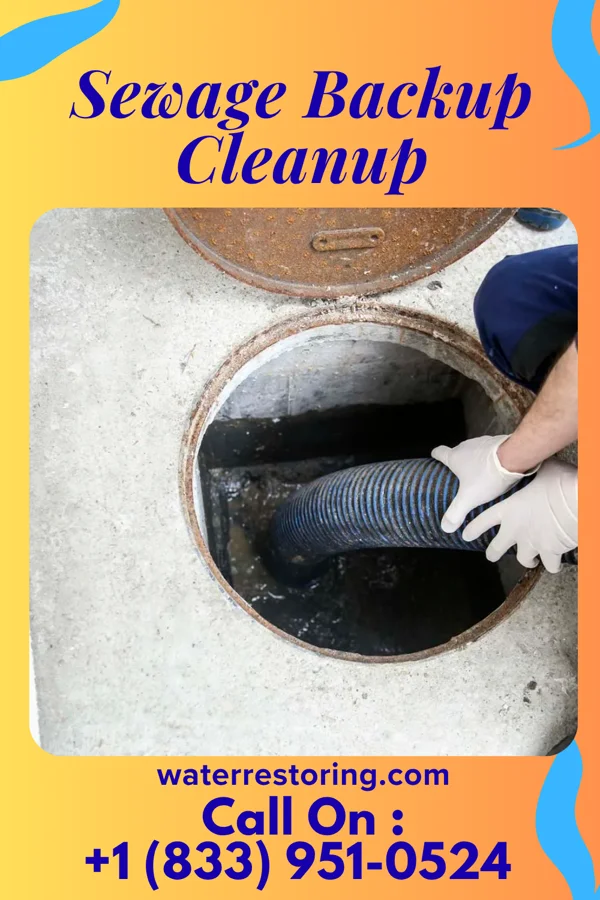 Sewage Backup Cleanup in Burgettstown, PA