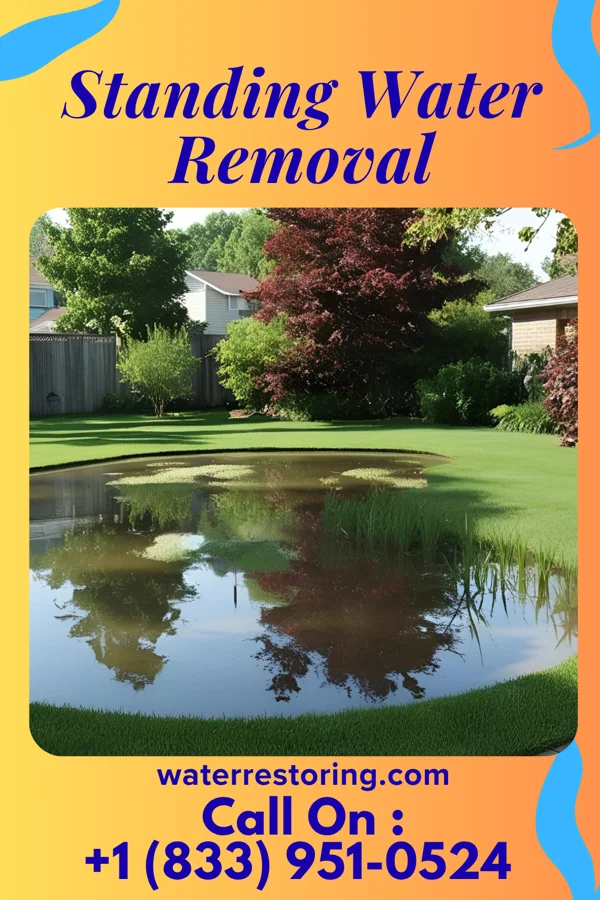 Standing Water Removal in Burgettstown, PA